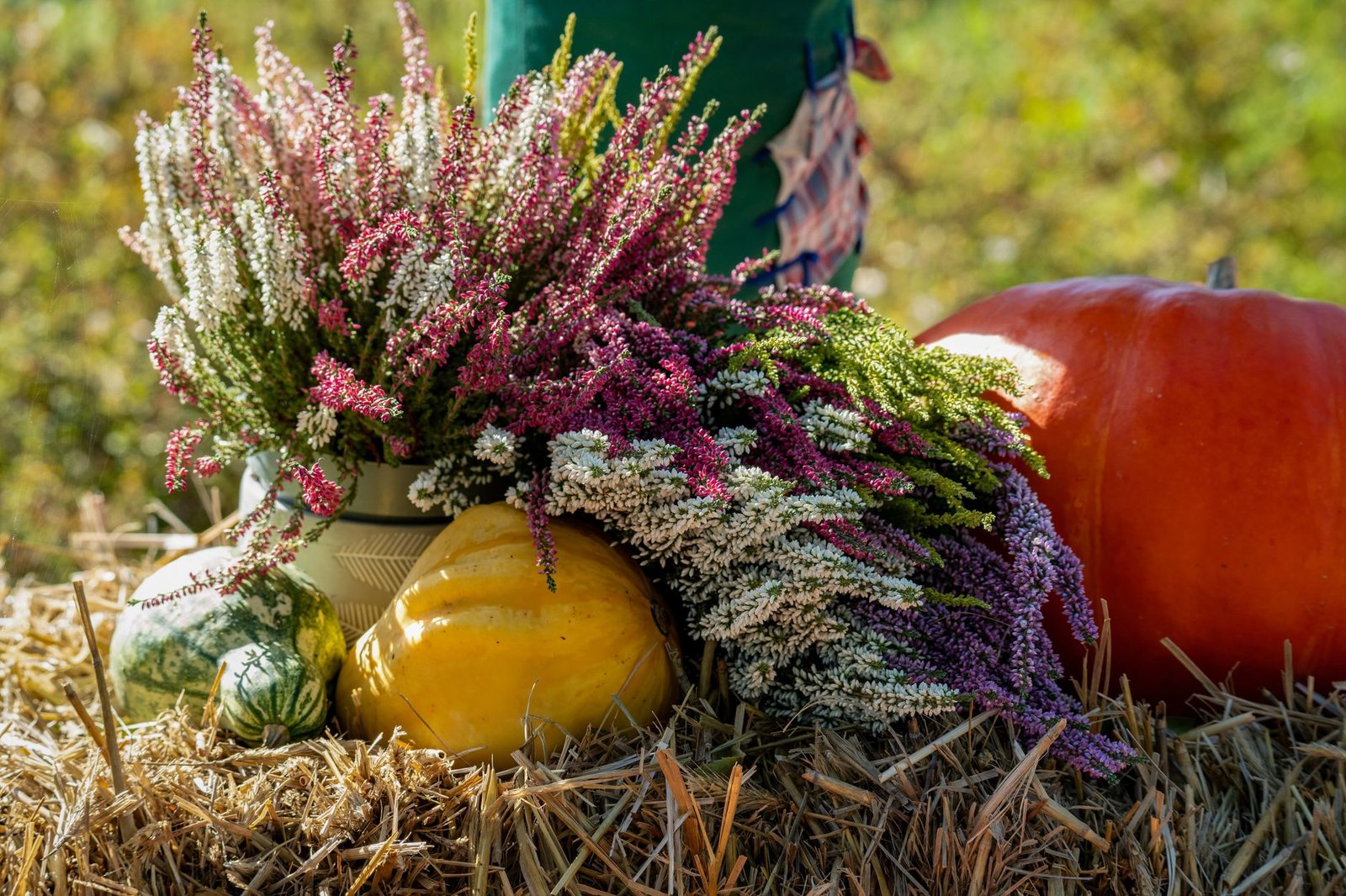 Moderne Herbstdeko für die Firma: einfach erklärt