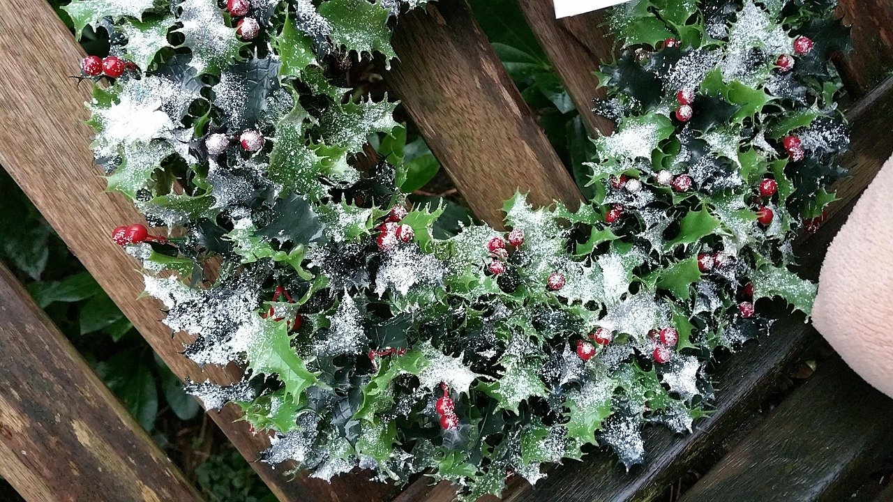 Weihnachtsdeko Outdoor für die Firma: Stärken und Schwächen — Hero-Aufnahme — Weihnachtsdeko Outdoor Firma: